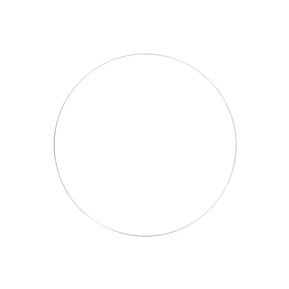 40cm Dromenvanger ring roestvrij staal