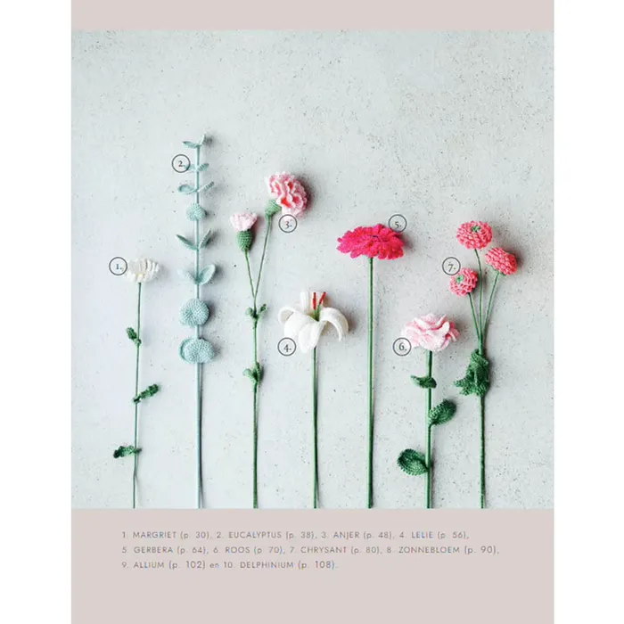 Bloemen haken Sascha Blase van Wagtendonk
